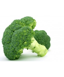 Broccoli